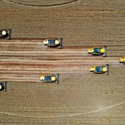 Kamu taşınmazları ekonomiye kazandırılıyor: Hazine arazileri kritik sektörlere tahsis edilecek
