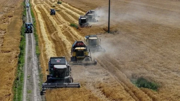 TİGEM yılda 130-140 bin ton sertifikalı tohum satıyor TİGEM yılda 130-140 bin ton sertifikalı tohum satıyor