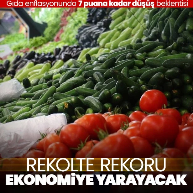 Bereketli hasat fiyat baskısını hafifletecek! Gıda enflasyonunda 7 puana kadar düşüş olabilir