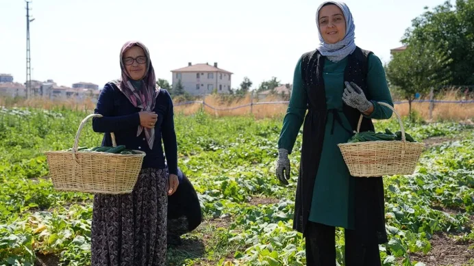 Coğrafi işaretli Çubuk turşusu dünyaya yayılıyor