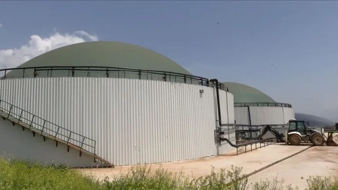 Hayvansal atıklarda büyük potansiyel: 10 milyar kilovatsaatlik elektrik üretilebilir