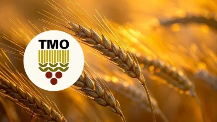 Cumhuriyet tarihi rekoru: TMO 12,3 milyon ton hububat alımı gerçekleştirdi Cumhuriyet tarihi rekoru: TMO 12,3 milyon ton hububat alımı gerçekleştirdi