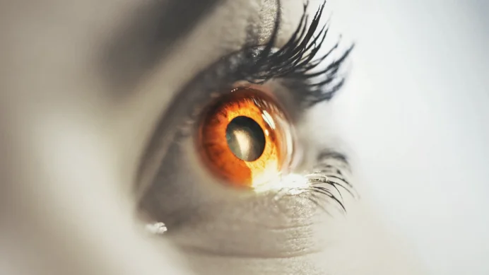 Gen terapisi retina sinir bağlantılarını onardı