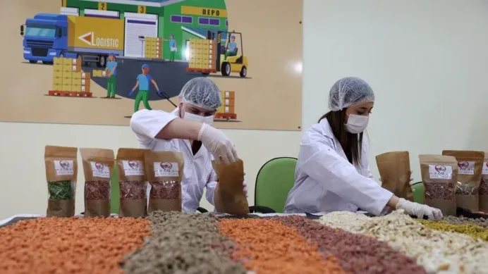 Günlük 31 ton mama üretiliyor: Kamu kurumlarının atıkları sokak hayvanlarına besin oluyor Günlük 31 ton mama üretiliyor: Kamu kurumlarının atıkları sokak hayvanlarına besin oluyor
