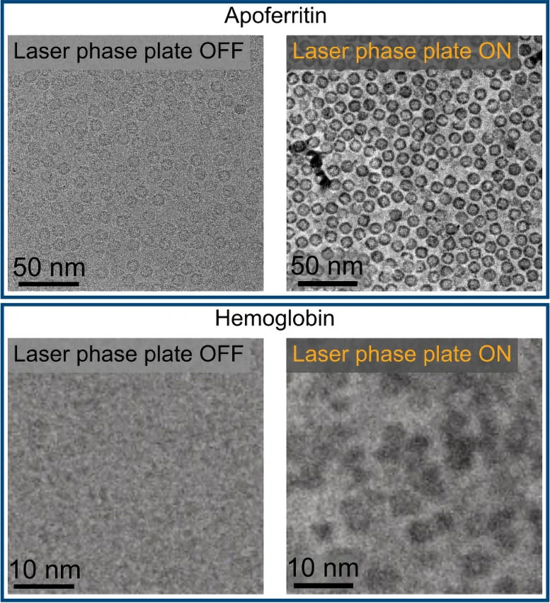 Bilim insanları küçük proteinleri görünür kılan yeni lazer sistemi geliştirdi